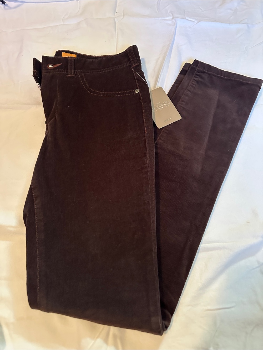 Pilcro Women's Skinny Corduroy Pants in Dark Brown